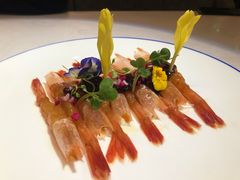 -荟廷·晶萃(陆家嘴尚悦湾店)