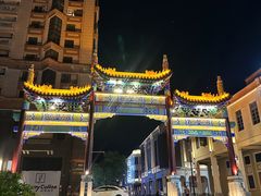 -OLD TREE老树咖啡·西餐厅(台山人工湖店)
