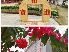 -东莞观音山旅游风景区