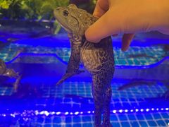 -享遇.锅姥姥牛排海鲜自助(小寨店)