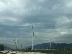 -风鑫铃罗非鱼(道沟店)