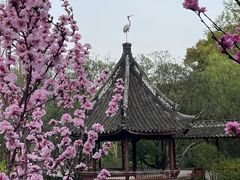 -上海醉白池公园