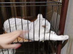 -津菜宋记老房子(鼓楼店)