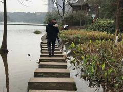 -重庆彩云湖湿地公园