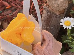 -野人先生现做冰淇淋(北京顺义祥云小镇店)