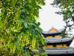 -龙华寺
