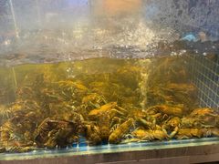-熊记虾王·小龙虾(东晓南店)