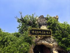 -大槐树寻根祭祖园