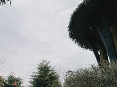-大连金石滩绿发温泉假日酒店