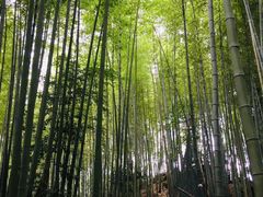 -海窝子古镇