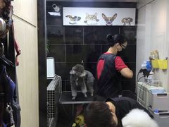 -小尾巴宠物店(万科·金域华庭店)