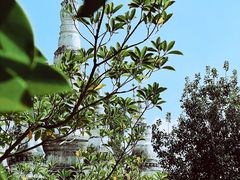 -曼听御花园