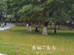 -秀丽东方