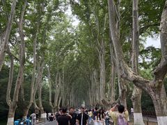 -刘长兴(卫岗店)
