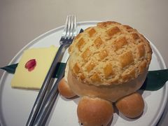 海龟菠萝油-蔡澜点心(三里屯T+MALL店)