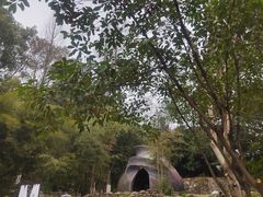 -三江森林温泉度假区