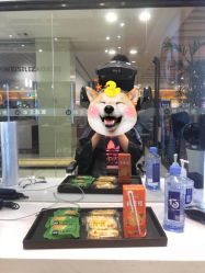 -华卫思理轻奢造型