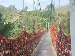 -西双版纳原始森林公园