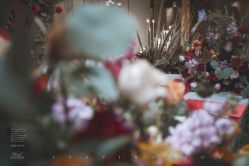 -大成唯爱婚礼 · 十年历史