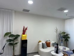 -十三美学·半永久纹眉纹唇·野生眉