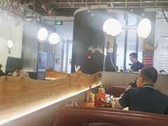 -老板恋上鱼(振华商厦店)