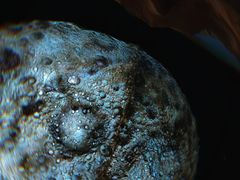 -辽宁古生物博物馆