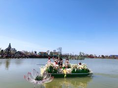 -荷兰花海