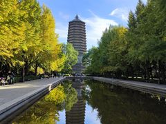 -玲珑塔公园
