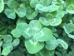 -南开大学滨海学院