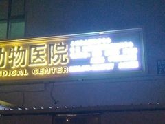 -宠爱国际动物医院·疑难骨科·心肾内科·皮肤科(太阳宫店)