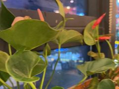 -粤点越有·茶点·粤菜(樵岭国际店)