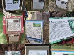 -广州白江湖森林公园