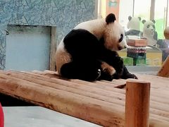 -西安秦岭野生动物园