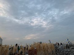 -Blue Concept Cafe&Farm·關於藍