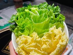 -禄婶鸡煲·打边炉