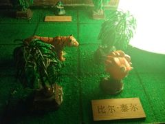 -樊笼真人密室逃脱(江南西店)