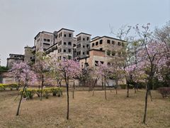 -广东花都湖国家湿地公园