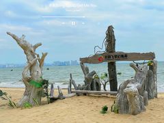 -巨鹏飞梦幻海岸