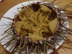 -海胆小馆(东北水饺·春柳店)