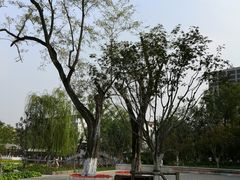 -西海子公园