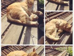 iphone_upload_pic-湖丝栈