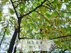 -白马涧龙池景区