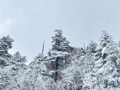 -峨眉山风景名胜区