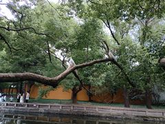 -西园戒幢律寺