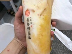 芝士芒果多多-书亦烧仙草(北大街店)