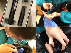 -pd派德宠物中心医院24H急重症·眼科中心·血液透析中心(嵩山北路店)