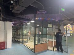 -上海大自然野生昆虫馆(东方明珠·爬宠昆虫探索中心)