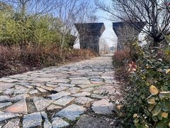 -广富林郊野公园