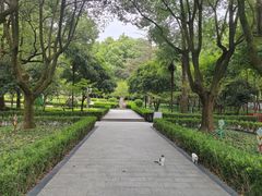 -上海佘山国家森林公园天马山园