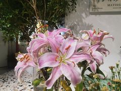 -匡小敏手工烘培(大地金墅店)